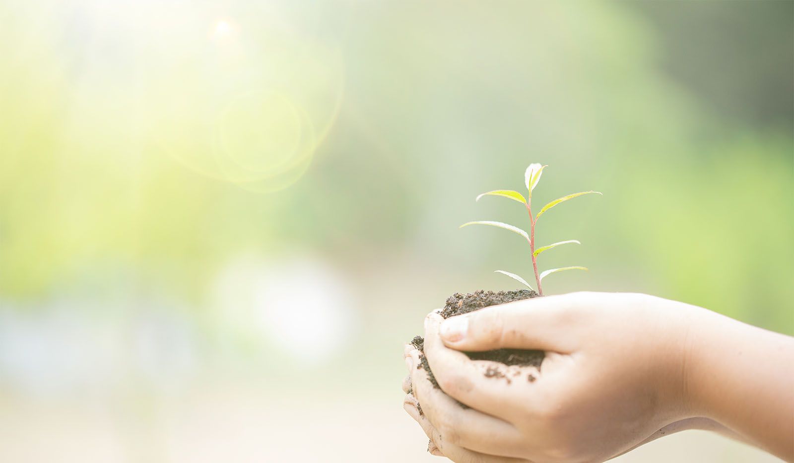 Les bonnes raisons d’investir dans l’immobilier en 2026