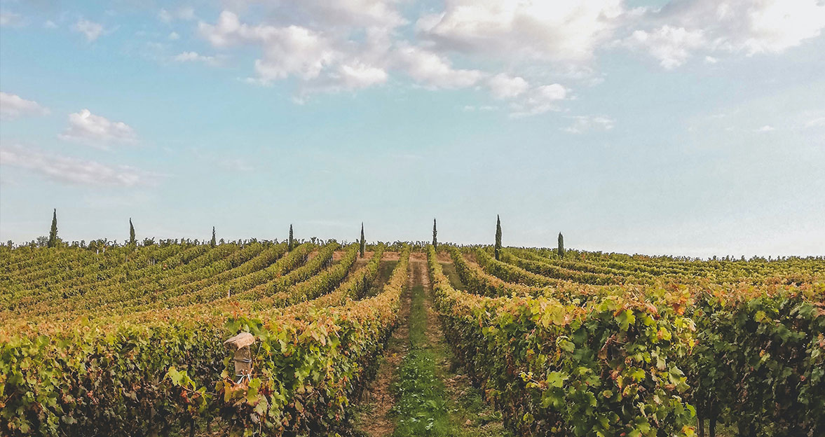 Résidence Silva à Bordeaux